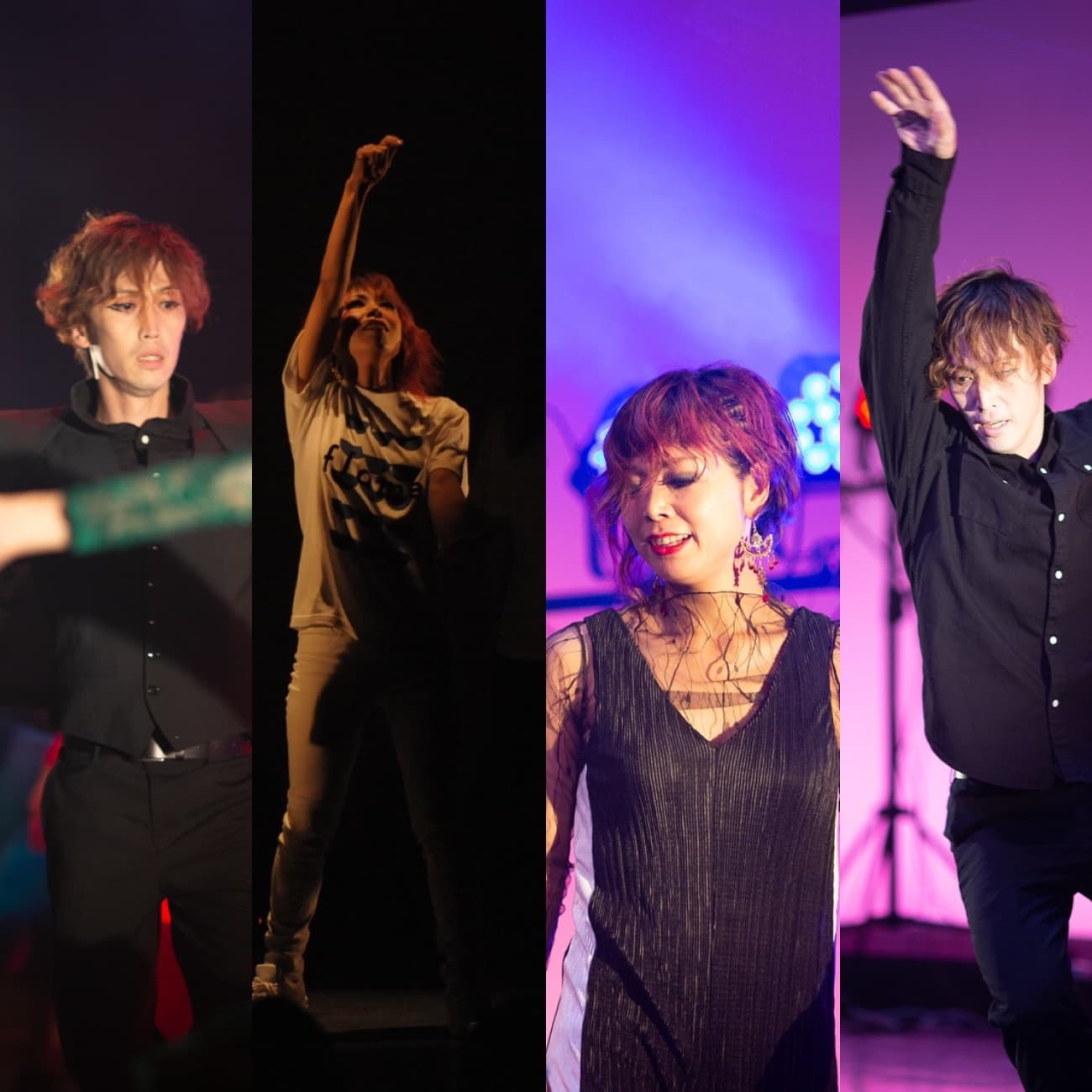 BDSインストラクターズ